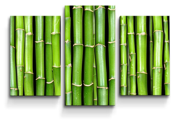 Sablio Obraz - 3-dílný Bambus - 75x50 cm