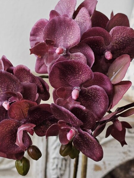 Dekorace umělá květina Orchidej s květináčem - 23*23*50 cm - J-Line by Jolipa