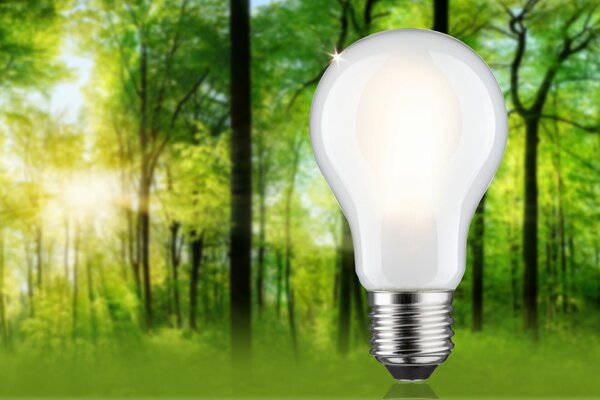 PAULMANN Eco-Line Filament 230V LED žárovka E27 5,7W 3000K stmívatelné mat