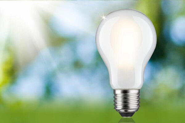 PAULMANN Eco-Line Filament 230V LED žárovka E27 5,7W 3000K stmívatelné mat