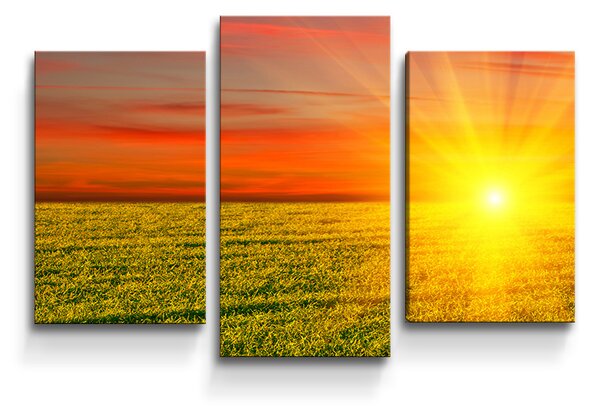 Sablio Obraz - 3-dílný Západ slunce nad loukou - 75x50 cm