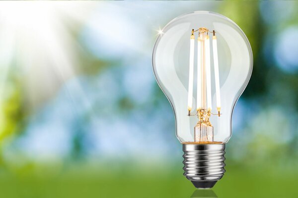 PAULMANN Eco-Line Filament 230V LED žárovka E27 8,2W 3000K stmívatelné čirá