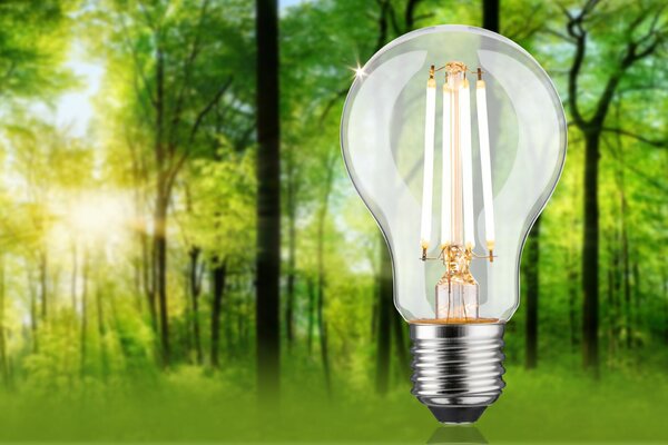 PAULMANN Eco-Line Filament 230V LED žárovka E27 8,2W 3000K stmívatelné čirá