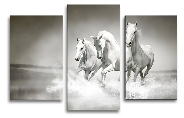 Sablio Obraz - 3-dílný Bílí koně - 75x50 cm