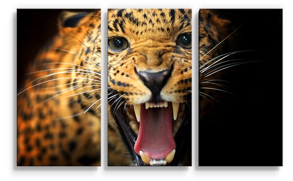 Sablio Obraz - 3-dílný Gepard 2 - 120x80 cm