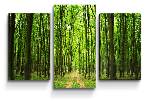 Sablio Obraz - 3-dílný Cesta v lese - 75x50 cm