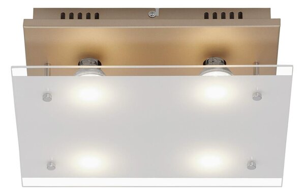 Briloner 3586-047 - LED Stropní svítidlo SMART GOLD 4xGU10/4W/230V BL1618