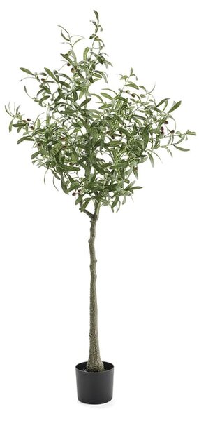 AJ Produkty Umělá rostlina EVERGREEN, olivovník, výška 1700 mm, 1 ks