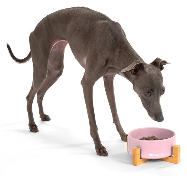 PuppyJoy Keramická miska na bambusovém stojanu pro psy a kočky CATI růžová