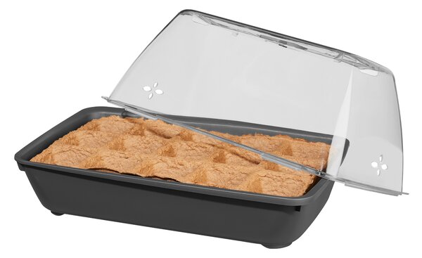 Parkside® Mini skleník (Bio zeleninová zahrádka) (100385405002)