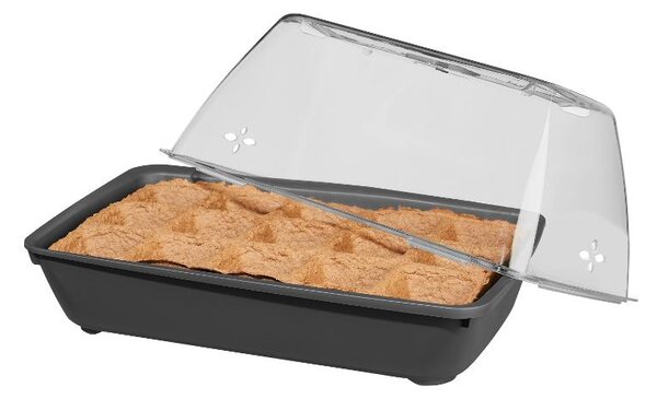 Parkside® Mini skleník (Bio zeleninová zahrádka) (100385405002)