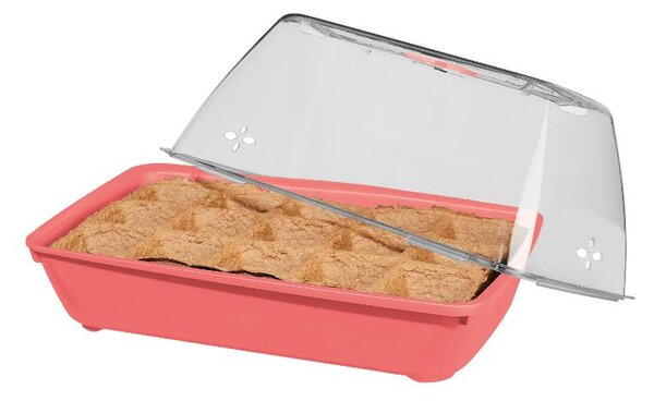 Parkside® Mini skleník (Bio zahrádka s bobulovým ovocem) (100385405004)