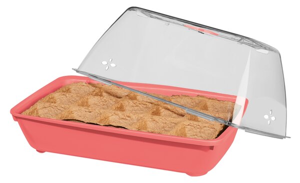 Parkside® Mini skleník (Bio zahrádka s bobulovým ovocem) (100385405004)