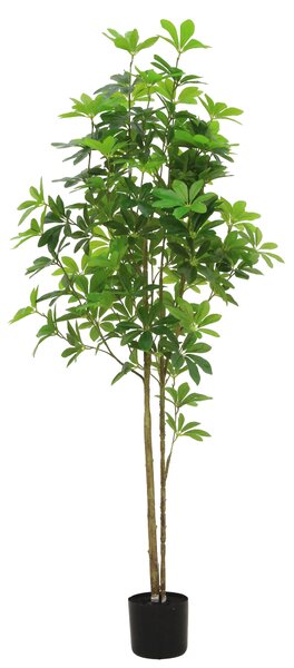 UMĚLÁ ROSTLINA bonsaj 150 cm Ambia Home - Umělé rostliny