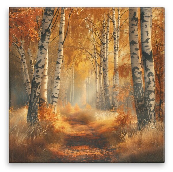 Obraz na plátně - Zlatá březová cesta - 80x80 cm