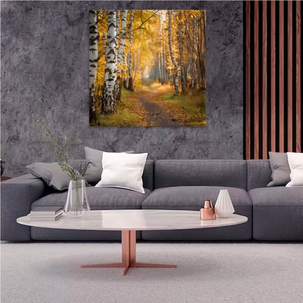 Obraz na plátně - Zlatá břízková alej - 80x80 cm