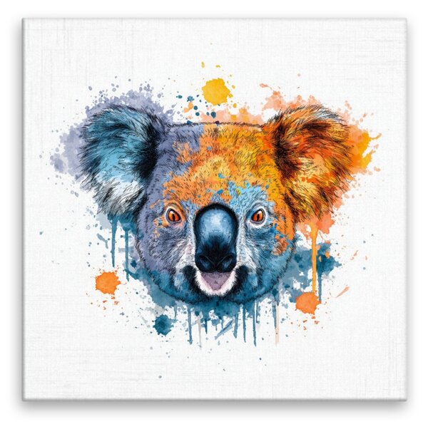 Obraz na plátně - Barevná koala - 80x80 cm - CZ výroba