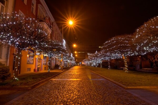 DLED SLNX120 DecoLED LED světelný řetěz, 20m, ledově bílá, 120 diod,IP67 SLNX120