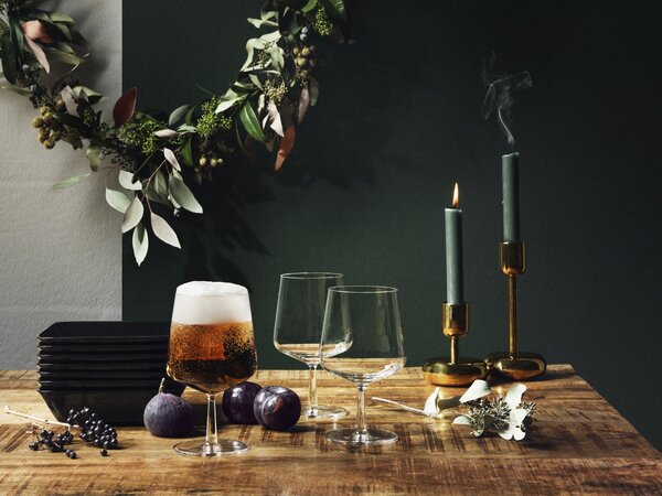 Sklenice na pivo Essence iittala 0,48 l 2 ks