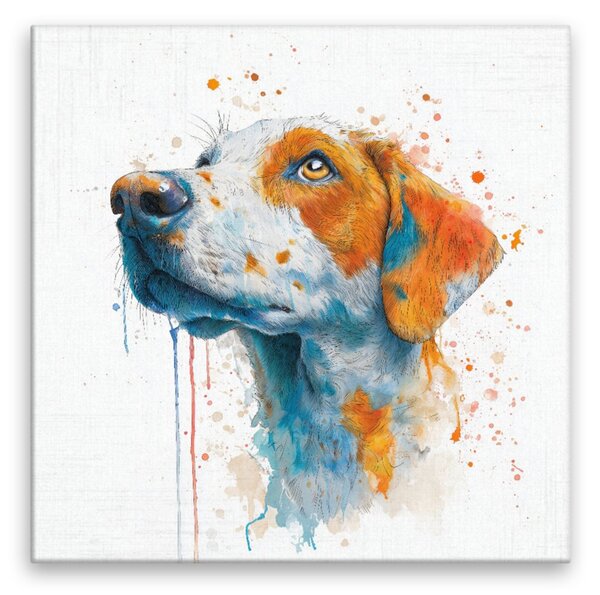 Obraz na plátně - Barevný psí pohled - 80x80 cm