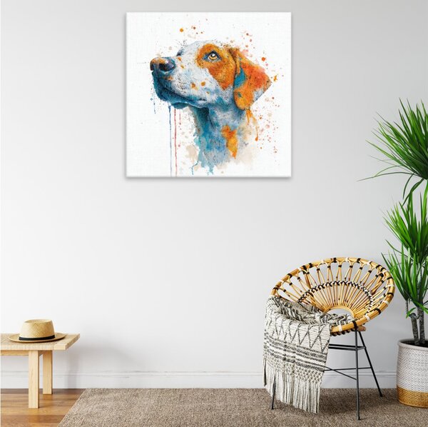 Obraz na plátně - Barevný psí pohled - 80x80 cm