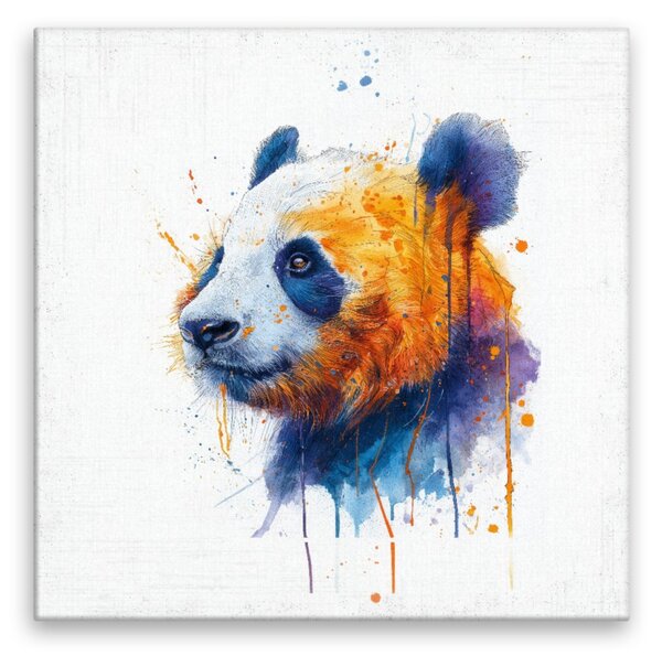 Obraz na plátně - Barevná panda - 80x80 cm - CZ výroba