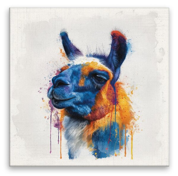Obraz na plátně - Barevná lama 2 - 80x80 cm - CZ výroba