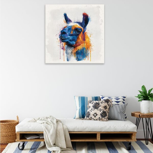 Obraz na plátně - Barevná lama 2 - 80x80 cm - CZ výroba