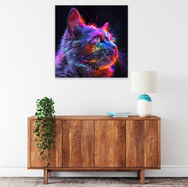 Obraz na plátně - Kosmická kočka 2 - 80x80 cm