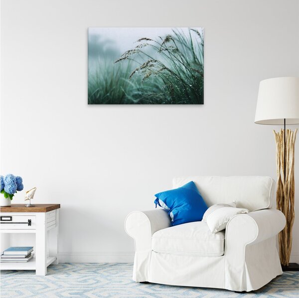 Obraz na plátně - Ranní rosa v trávě - 120x80 cm