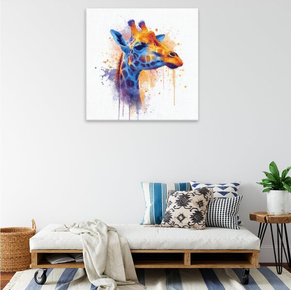 Obraz na plátně - Žirafí duha - 80x80 cm - CZ výroba