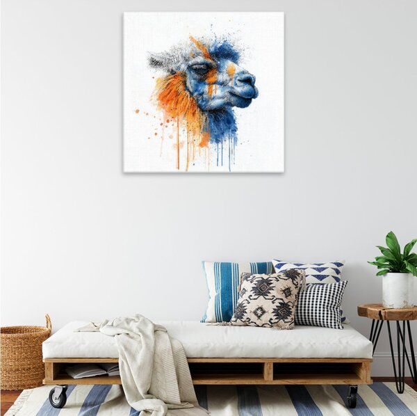 Obraz na plátně - Barevná lama - 80x80 cm - CZ výroba