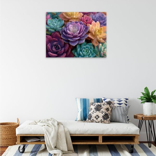 Obraz na plátně - Duhové sukulenty 2 - 40x30 cm