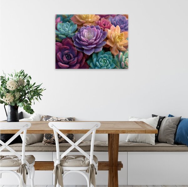 Obraz na plátně - Duhové sukulenty 2 - 40x30 cm