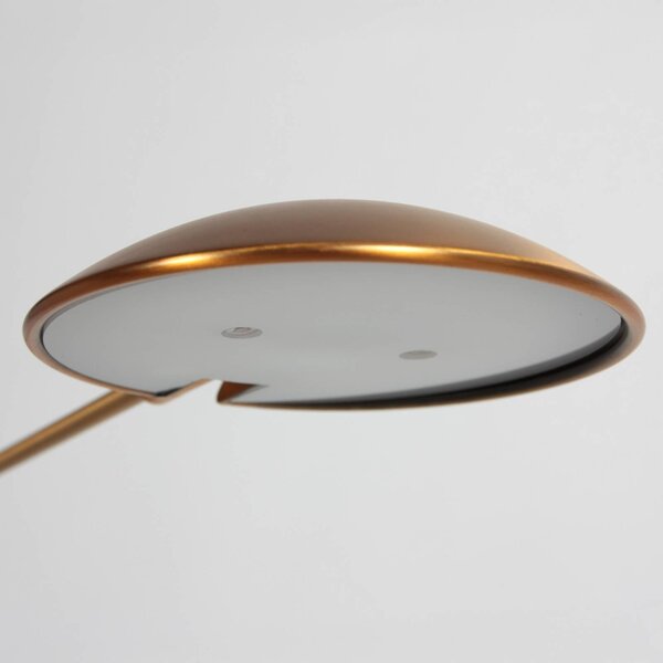 Steinhauer LED stojací lampa Daphne 2, 1 žárovka, bronzová, dálkové ovládání, stmívatelný, Bronz / starožitná mosaz, Obývací pokoj / jídelna, kov, Moderní