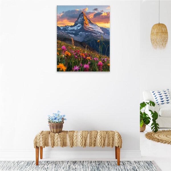 Obraz na plátně - Alpský kvítek - 40x50 cm