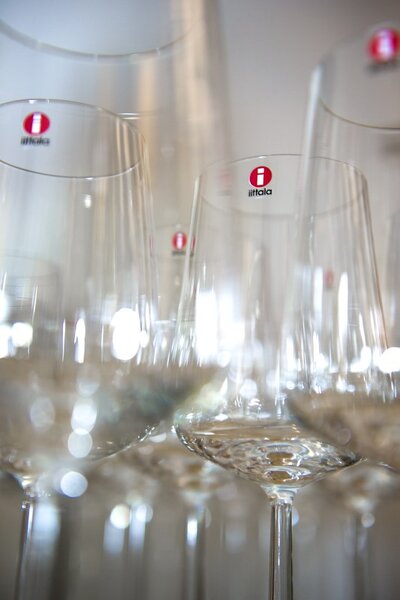 Sklenice na červené víno Essence iittala 0,45 l 2 ks