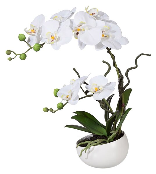 Gasper Orchidej Phalenopsis 42cm bílá