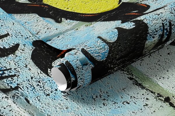 Fototapety Graffiti, umění a písmo, Fototapety teen room, Fototapety pro dospívajícího chlapce, u12434 : uwalls.cz