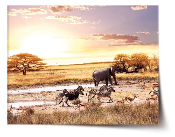 Sablio Plakát Safari - 60x40 cm