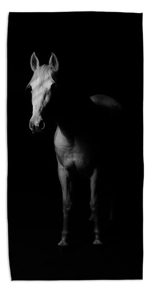 Sablio Ručník Kůň ve stínu - 50x100 cm