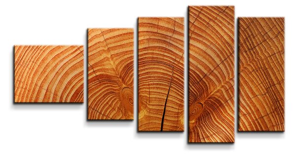 Sablio Obraz - 5-dílný Dřevo 2 - 100x60 cm