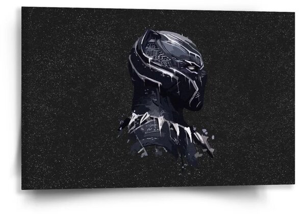 Sablio Obraz BLACK PANTHER z profilu Vesmír - 60x40 cm