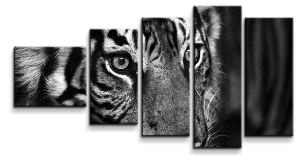 Sablio Obraz - 5-dílný Černobílý tygr - 100x60 cm