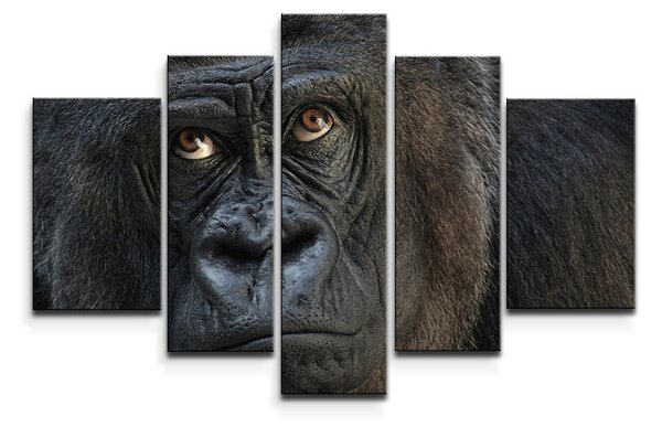 Sablio Obraz - 5-dílný Gorila - 125x90 cm