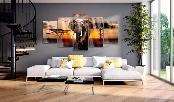 Obraz na akrylovém skle Putující slon