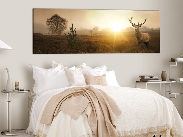 Obraz Mlhavé ráno (1-dílný) - trávnatá pole s jelenem a stromy