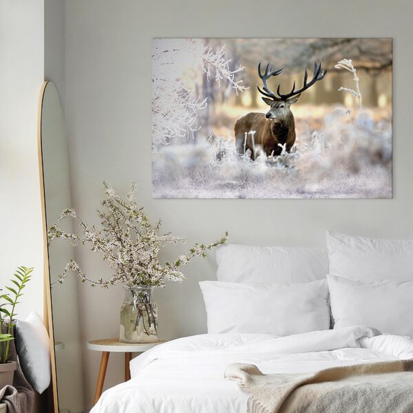 Obraz Zmrzlý jelen