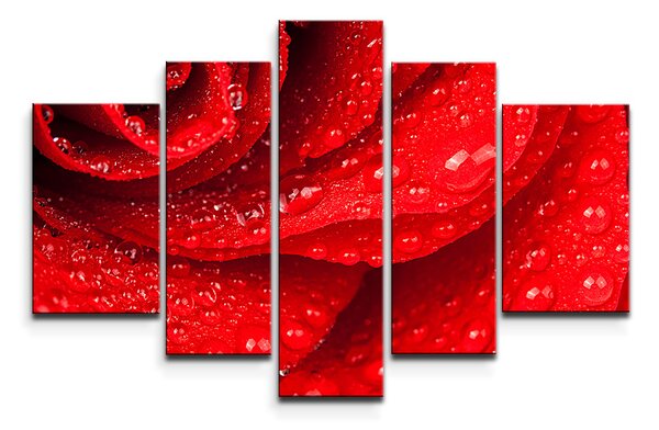 Sablio Obraz - 5-dílný Květ růže - 125x90 cm