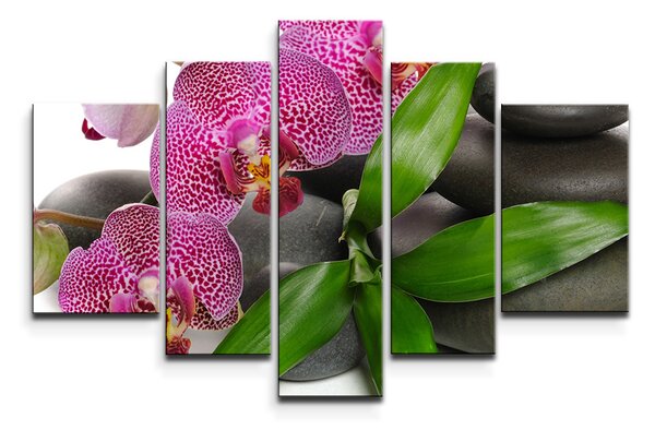 Sablio Obraz - 5-dílný Orchideje a kameny - 125x90 cm
